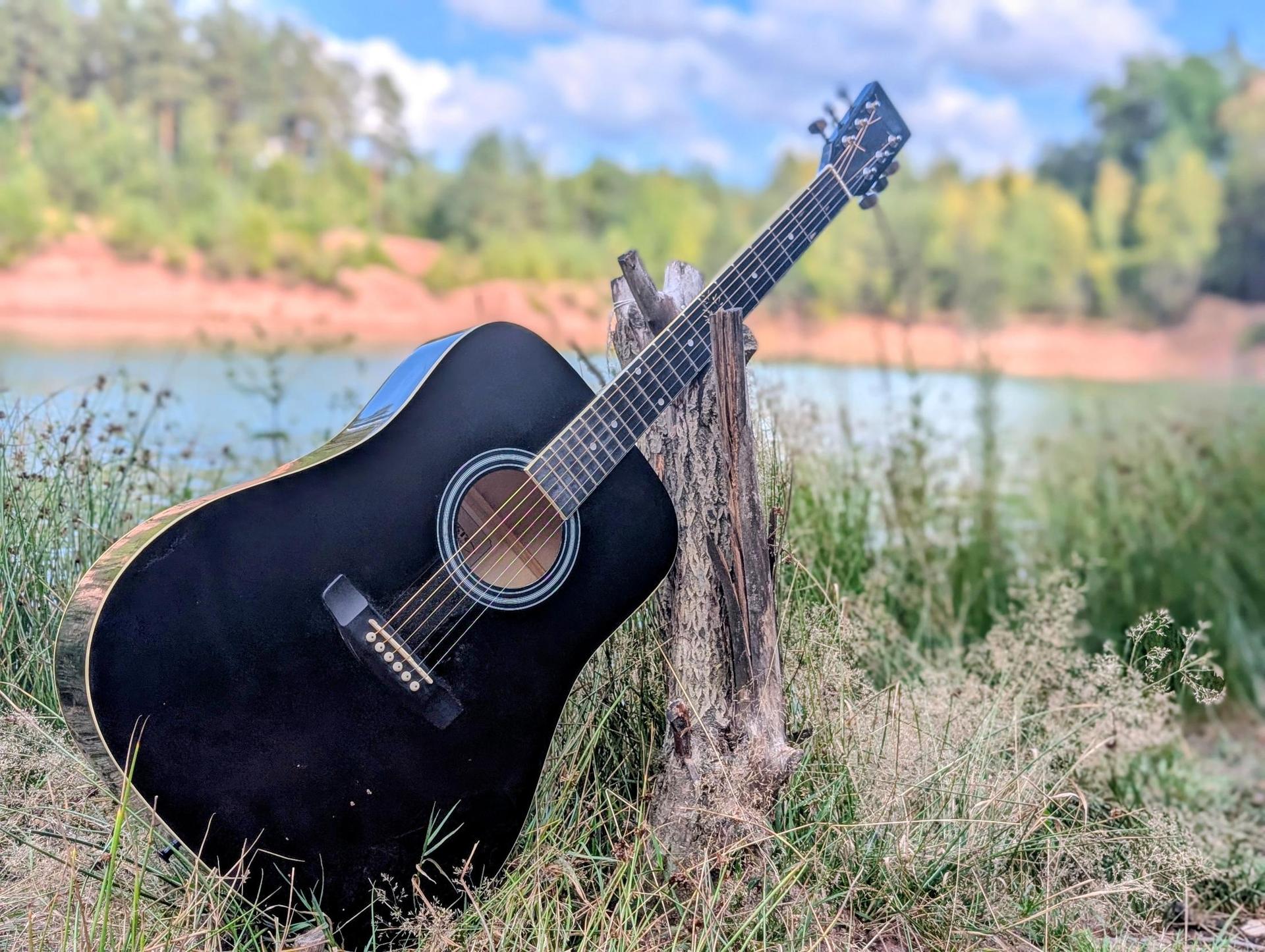 Schwarze Akustikgitarre lehnt an einem Baumstumpf am See